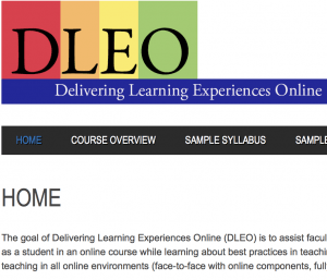 Delivering Learning Experiences Online